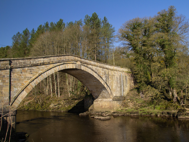 our handfasting bridge